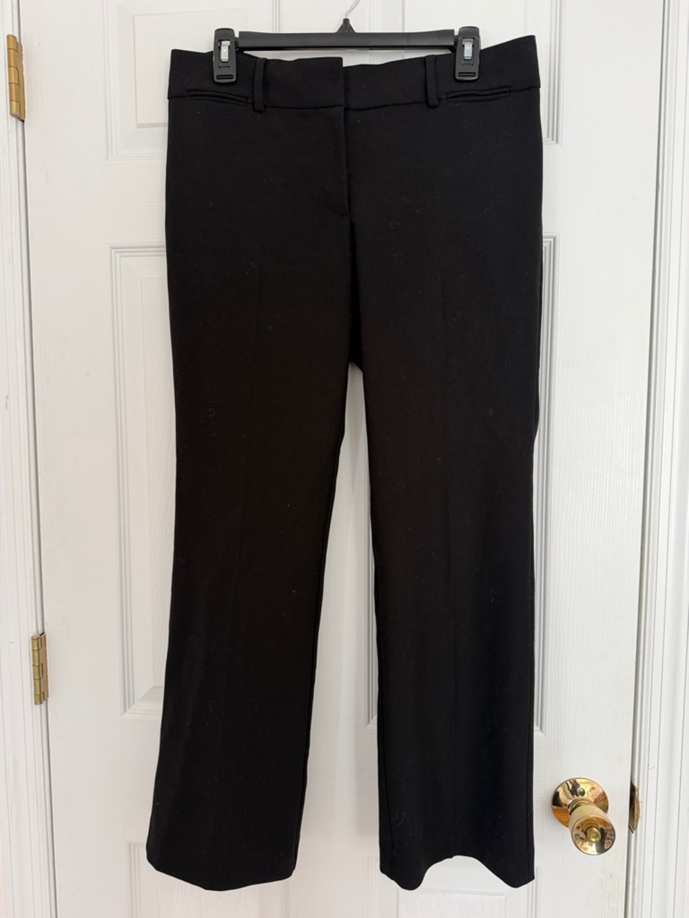 Petite Black Pleated Dress Pants